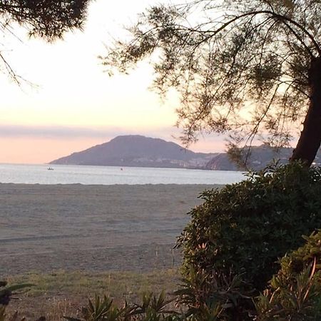 2 Chambres, Residence Avec Piscine, 100 Metres De La Mer Argeles-sur-Mer Bagian luar foto